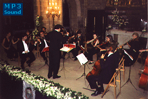 Vivaldi Kammerorchester